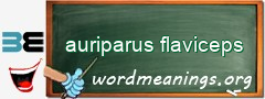 WordMeaning blackboard for auriparus flaviceps